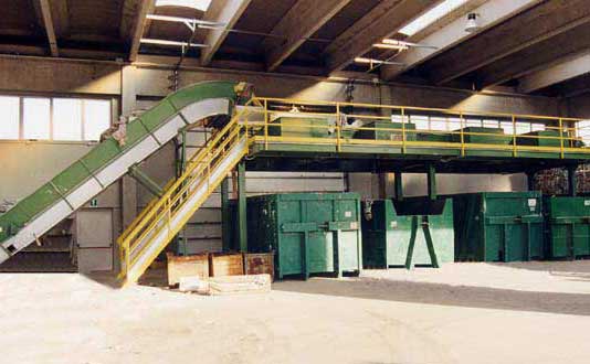 Linea di selezione